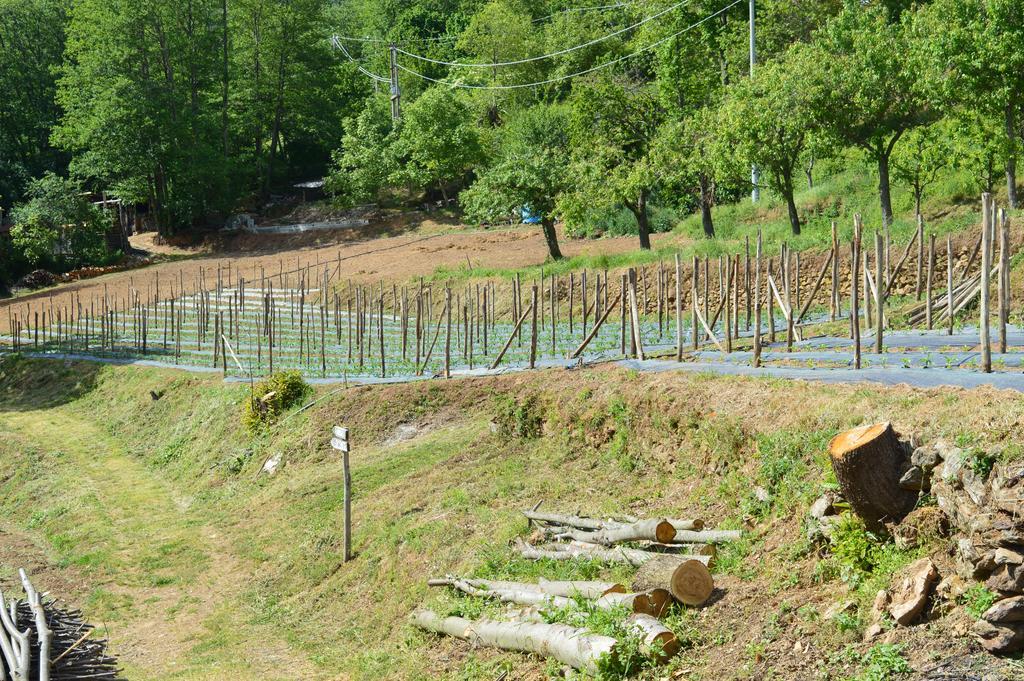 Agriturismo E Turre Serrastretta Zewnętrze zdjęcie