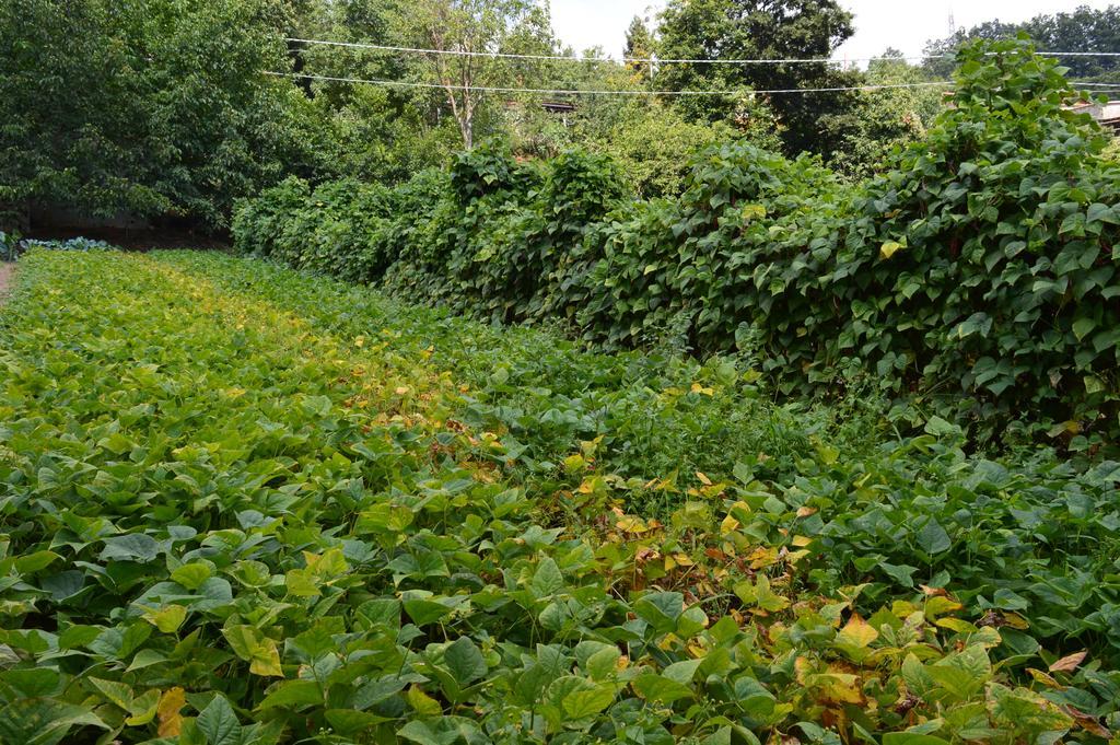 Agriturismo E Turre Serrastretta Zewnętrze zdjęcie