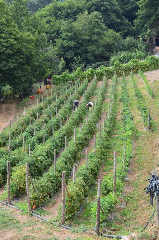 Agriturismo E Turre Serrastretta Zewnętrze zdjęcie